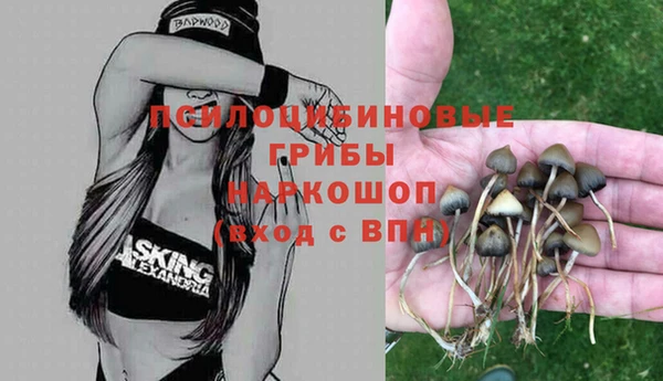 соль курить ск Пролетарск