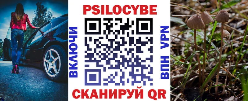 MEGA ссылка  Вилюйск  Псилоцибиновые грибы мухоморы  купить наркоту 