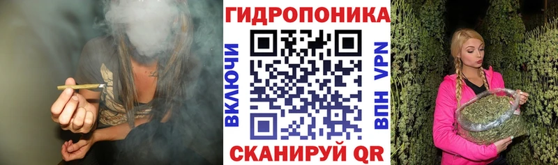 Бошки марихуана MAZAR Вилюйск