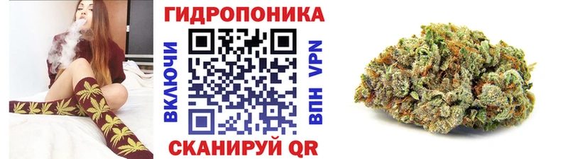 Каннабис конопля  Вилюйск 